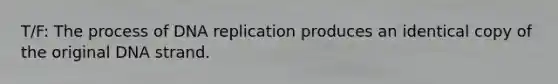T/F: The process of <a href='https://www.questionai.com/knowledge/kofV2VQU2J-dna-replication' class='anchor-knowledge'>dna replication</a> produces an identical copy of the original DNA strand.