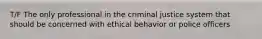 T/F The only professional in the criminal justice system that should be concerned with ethical behavior or police officers