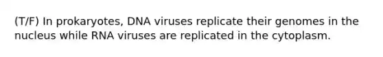 (T/F) In prokaryotes, DNA viruses replicate their genomes in the nucleus while RNA viruses are replicated in the cytoplasm.