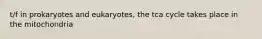 t/f in prokaryotes and eukaryotes, the tca cycle takes place in the mitochondria