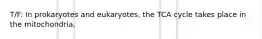 T/F: In prokaryotes and eukaryotes, the TCA cycle takes place in the mitochondria.