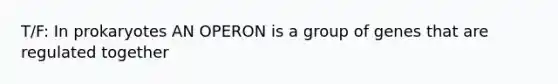 T/F: In prokaryotes AN OPERON is a group of genes that are regulated together