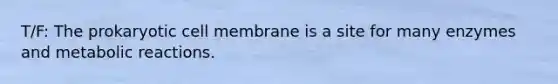 T/F: The prokaryotic cell membrane is a site for many enzymes and metabolic reactions.