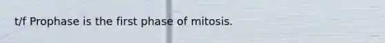 t/f Prophase is the first phase of mitosis.