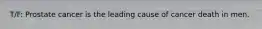 T/F: Prostate cancer is the leading cause of cancer death in men.