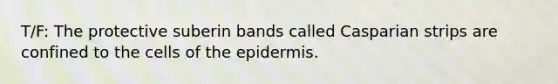 T/F: The protective suberin bands called Casparian strips are confined to the cells of the epidermis.