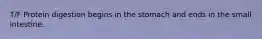 T/F Protein digestion begins in the stomach and ends in the small intestine.