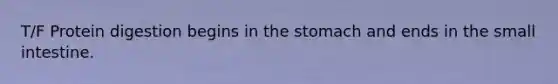 T/F Protein digestion begins in <a href='https://www.questionai.com/knowledge/kLccSGjkt8-the-stomach' class='anchor-knowledge'>the stomach</a> and ends in <a href='https://www.questionai.com/knowledge/kt623fh5xn-the-small-intestine' class='anchor-knowledge'>the small intestine</a>.