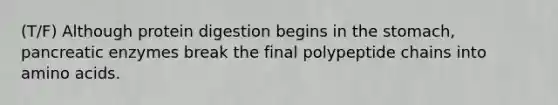 (T/F) Although protein digestion begins in <a href='https://www.questionai.com/knowledge/kLccSGjkt8-the-stomach' class='anchor-knowledge'>the stomach</a>, pancreatic enzymes break the final polypeptide chains into <a href='https://www.questionai.com/knowledge/k9gb720LCl-amino-acids' class='anchor-knowledge'>amino acids</a>.