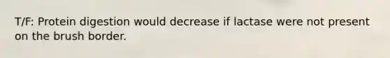 T/F: Protein digestion would decrease if lactase were not present on the brush border.