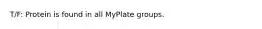 T/F: Protein is found in all MyPlate groups.