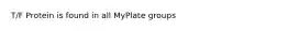 T/F Protein is found in all MyPlate groups