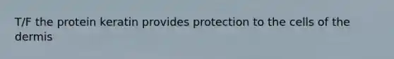 T/F the protein keratin provides protection to the cells of the dermis