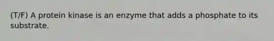 (T/F) A protein kinase is an enzyme that adds a phosphate to its substrate.