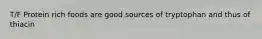 T/F Protein rich foods are good sources of tryptophan and thus of thiacin