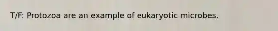 T/F: Protozoa are an example of eukaryotic microbes.