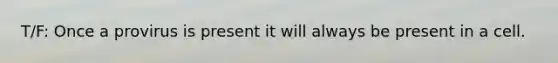 T/F: Once a provirus is present it will always be present in a cell.