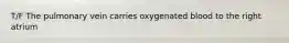 T/F The pulmonary vein carries oxygenated blood to the right atrium