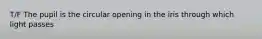 T/F The pupil is the circular opening in the iris through which light passes