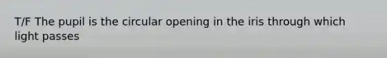 T/F The pupil is the circular opening in the iris through which light passes