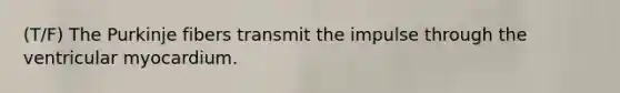 (T/F) The Purkinje fibers transmit the impulse through the ventricular myocardium.
