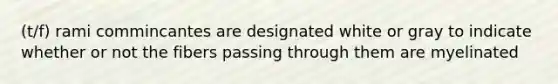 (t/f) rami commincantes are designated white or gray to indicate whether or not the fibers passing through them are myelinated