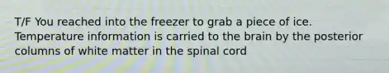 T/F You reached into the freezer to grab a piece of ice. Temperature information is carried to the brain by the posterior columns of white matter in the spinal cord