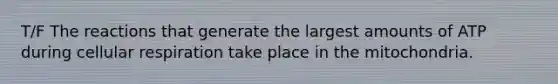 T/F The reactions that generate the largest amounts of ATP during <a href='https://www.questionai.com/knowledge/k1IqNYBAJw-cellular-respiration' class='anchor-knowledge'>cellular respiration</a> take place in the mitochondria.