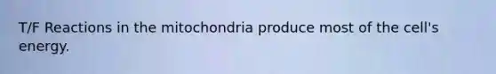 T/F Reactions in the mitochondria produce most of the cell's energy.