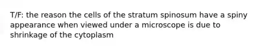 T/F: the reason the cells of the stratum spinosum have a spiny appearance when viewed under a microscope is due to shrinkage of the cytoplasm