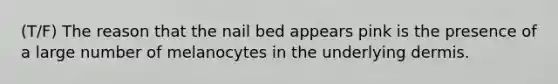(T/F) The reason that the nail bed appears pink is the presence of a large number of melanocytes in the underlying dermis.