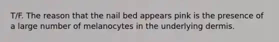 T/F. The reason that the nail bed appears pink is the presence of a large number of melanocytes in the underlying dermis.