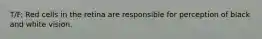 T/F: Red cells in the retina are responsible for perception of black and white vision.