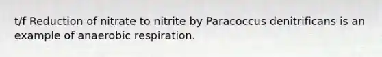 t/f Reduction of nitrate to nitrite by Paracoccus denitrificans is an example of anaerobic respiration.