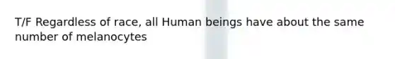 T/F Regardless of race, all Human beings have about the same number of melanocytes