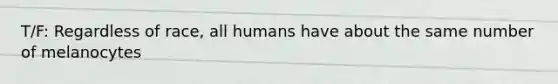 T/F: Regardless of race, all humans have about the same number of melanocytes