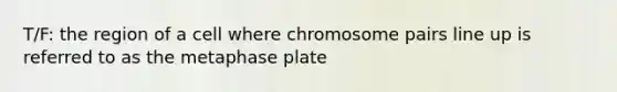 T/F: the region of a cell where chromosome pairs line up is referred to as the metaphase plate