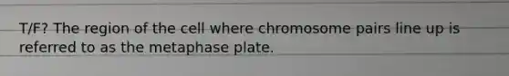 T/F? The region of the cell where chromosome pairs line up is referred to as the metaphase plate.