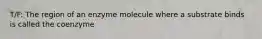 T/F: The region of an enzyme molecule where a substrate binds is called the coenzyme