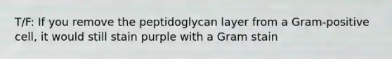 T/F: If you remove the peptidoglycan layer from a Gram-positive cell, it would still stain purple with a Gram stain