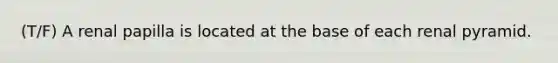 (T/F) A renal papilla is located at the base of each renal pyramid.
