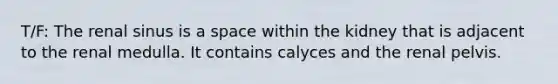 T/F: The renal sinus is a space within the kidney that is adjacent to the renal medulla. It contains calyces and the renal pelvis.