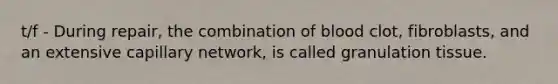 t/f - During repair, the combination of blood clot, fibroblasts, and an extensive capillary network, is called granulation tissue.