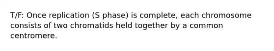 T/F: Once replication (S phase) is complete, each chromosome consists of two chromatids held together by a common centromere.