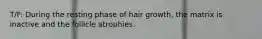 T/F: During the resting phase of hair growth, the matrix is inactive and the follicle atrophies.