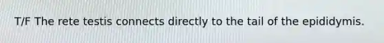 T/F The rete testis connects directly to the tail of the epididymis.