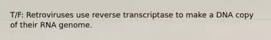 T/F: Retroviruses use reverse transcriptase to make a DNA copy of their RNA genome.