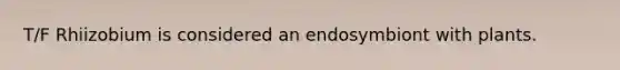 T/F Rhiizobium is considered an endosymbiont with plants.