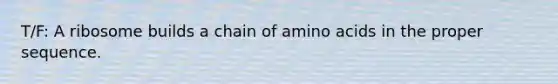 T/F: A ribosome builds a chain of amino acids in the proper sequence.