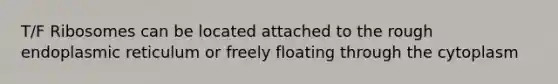 T/F Ribosomes can be located attached to the rough endoplasmic reticulum or freely floating through the cytoplasm